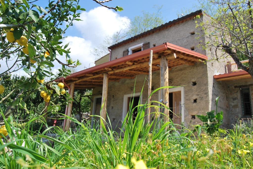 Al Melograno B&B Бельмонте-Калабро Экстерьер фото