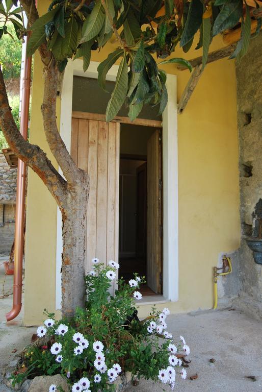 Al Melograno B&B Бельмонте-Калабро Экстерьер фото